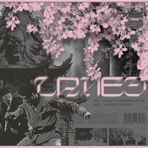Kung Fu Minimalistic / Jungle Techno by Laney Cover Art