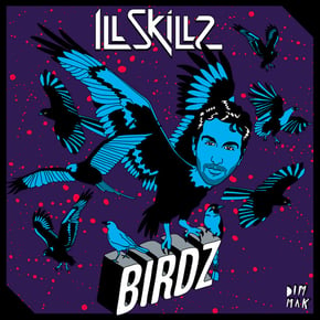 Birdz by Illskillz Cover Art