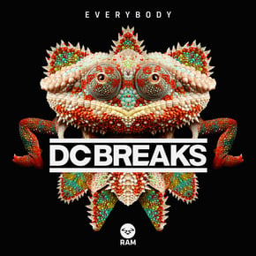 Everybody by DC Breaks Cover Art