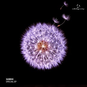 Special by Subrix Cover Art
