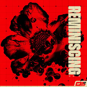 Reminiscing by IMANU Cover Art