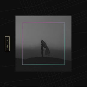 Everyone's Crazy (Machinedrum Remix) by Machinedrum & Braille Cover Art