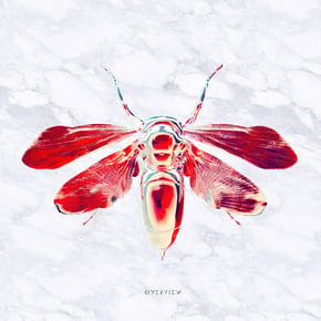 Pattern (VISLA Remix) by Wingz, YAANO & VISLA Cover Art