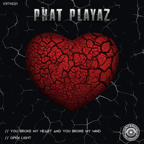 You Broke My Heart And You Broke My Mind by Phat Playaz Cover Art