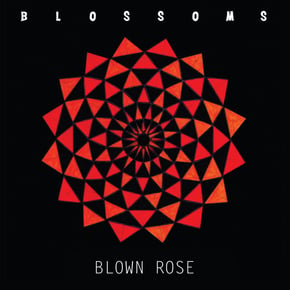 Blown Rose by Chase & Status & Blossoms Cover Art