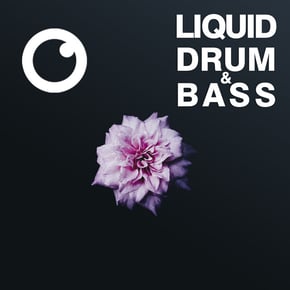 Liquid Drum & Bass Sessions #52 by Dreazz Cover Art