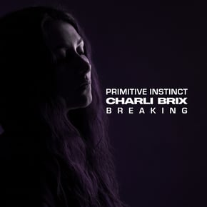 Breaking by Charli Brix Cover Art