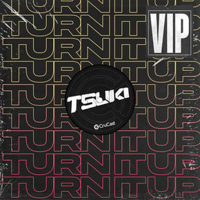 Turn It Up VIP by Tsuki Cover Art