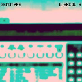 G Skool Vol 6 by Genotype Cover Art
