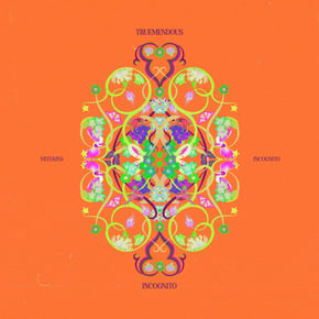 Incognito by Mitekiss Cover Art