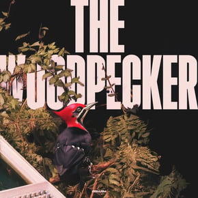 The Woodpecker by Arkaik Cover Art