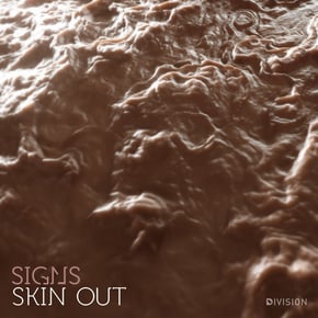Skin Out by Signs Cover Art
