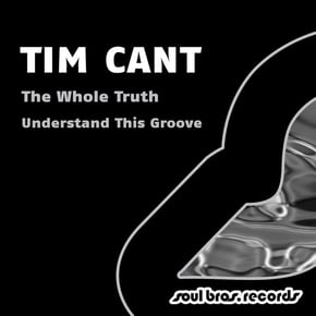 The Whole Truth / Understand This Groove by Tim Cant Cover Art