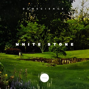 White Stone (Original) by Duoscience Cover Art