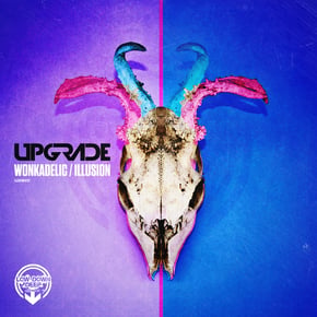 Wonkadelic / Illusion by Upgrade (UK) Cover Art