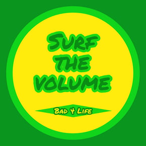 Surf the volume by MSDOS & Bad 4 Life Cover Art