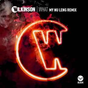 What (My Nu Leng Remix) by Sub Focus & Wilkinson Cover Art
