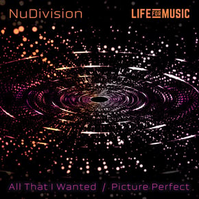 All That I Wanted / Picture Perfect by NuDivision Cover Art