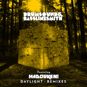 Daylight (Remixes) by Drumsound & Bassline Smith Cover Art