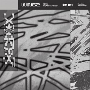 IDW / Rearranged by Wingz Cover Art