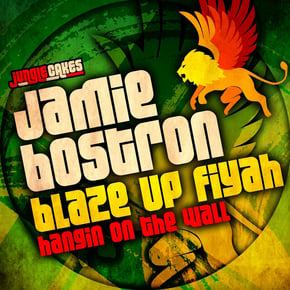 Blaze Up Fiyah by Jamie Bostron Cover Art