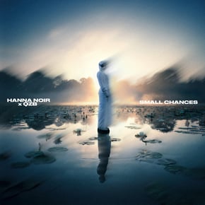 Small Chances by QZB Cover Art