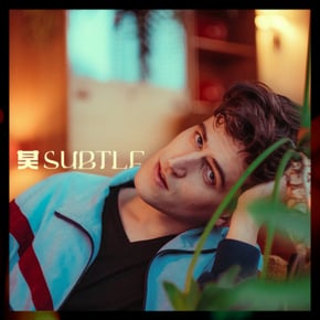 Subtle by Rueben Cover Art