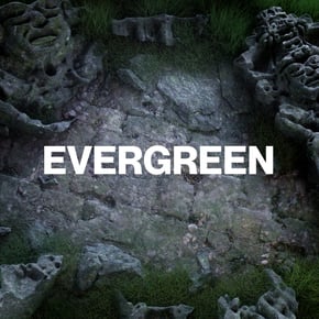 Evergreen by Annix & skantia Cover Art