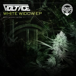 White Widow by Dr Meaker & Voltage Cover Art