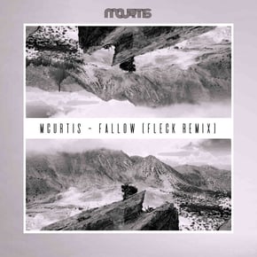 Fallow (Fleck Remix) by Fleck Cover Art