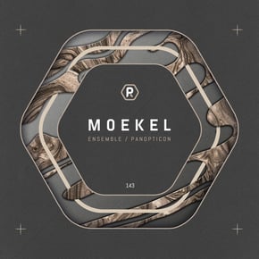 Ensemble / Panopticon by Moekel Cover Art