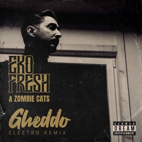 Gheddo (Electro Remix) by Zombie Cats Cover Art