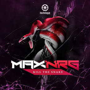 Kill the Snake by MaxNRG Cover Art
