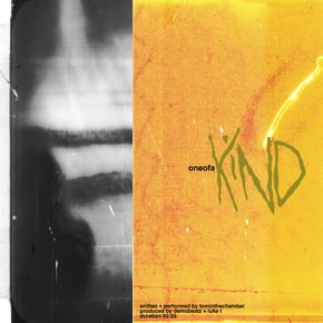 One of a Kind by TomInTheChamber Cover Art
