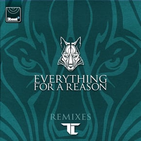 Everything For A Reason (Remixes) by TC Cover Art
