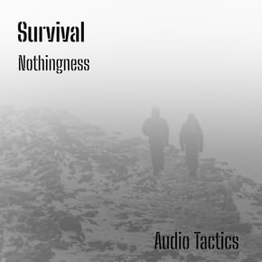 Nothingness by Survival Cover Art