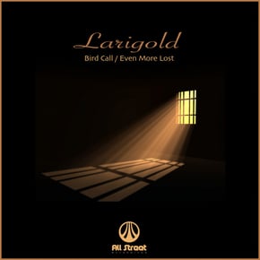 Bird Call / Even More Lost by Larigold Cover Art