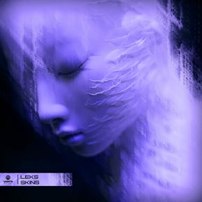 Skins by Leks Cover Art