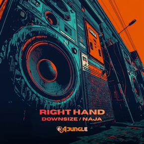 Downsize / Naja by Right Hand Cover Art