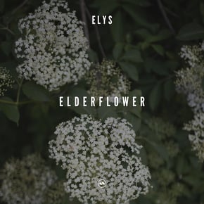 Elderflower by Elys Cover Art