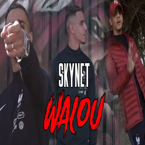 Walou by Skynet Cover Art