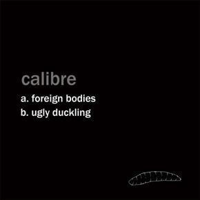 Foreign Bodies / Ugly Duckling by Calibre Cover Art