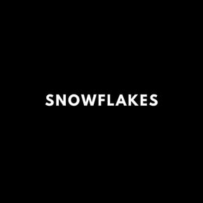 Snowflakes (Radio Edit) by Muffler Cover Art