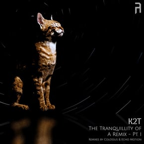 The Tranquillity of A Remix - Pt. I by Colossus Cover Art