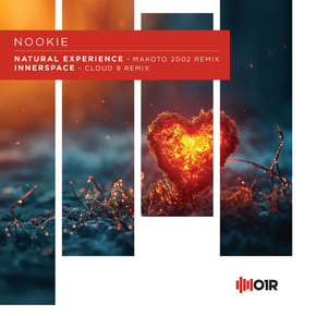 Natural Experience / Innerspace by Nookie Cover Art