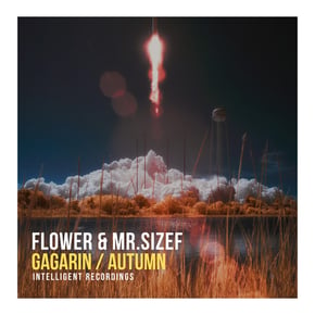 Gagarin by Mr Sizef Cover Art