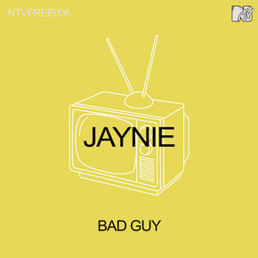 Bad Guy by Jaynie Cover Art