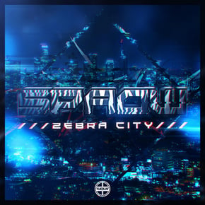 Zebra City by Spaow Cover Art