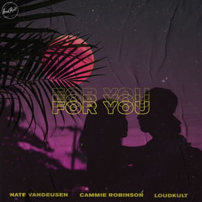 For You by Andromedik, Nate VanDeusen & Cammie Robinson Cover Art