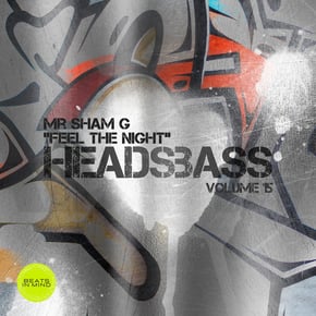 Feel The Night by Mr. Sham G Cover Art
